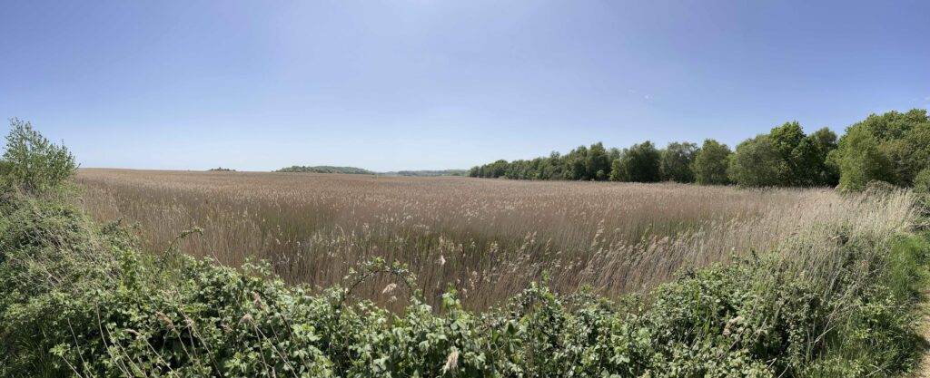 Cycling in Suffolk